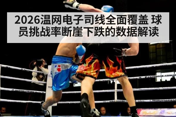 2026温网电子司线全面覆盖 球员挑战率断崖下跌的数据解读