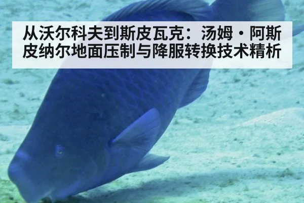 从沃尔科夫到斯皮瓦克:汤姆·阿斯皮纳尔地面压制与降服转换技术精析