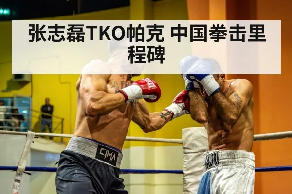 张志磊TKO帕克 中国拳击里程碑